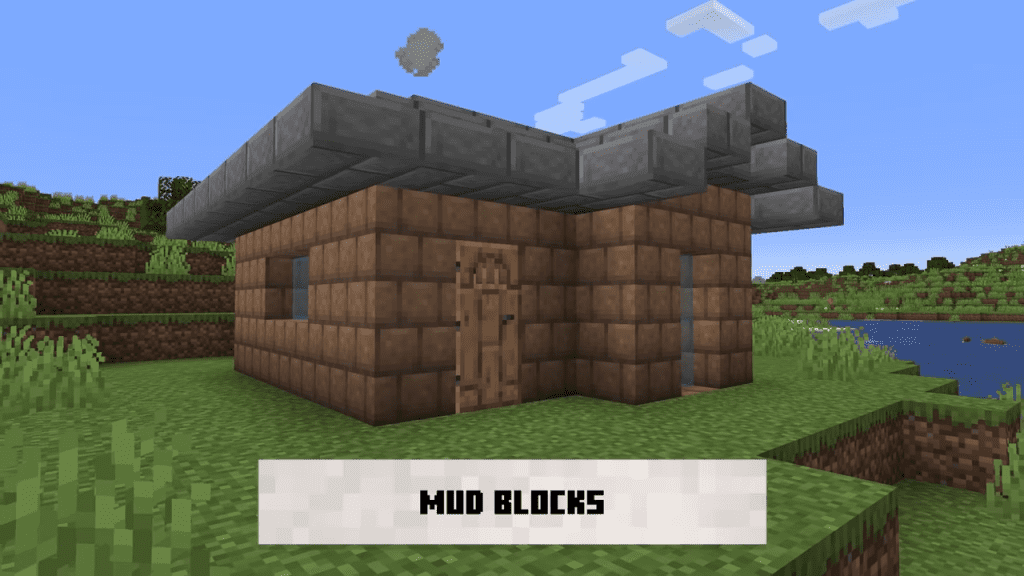 Mud Blocks