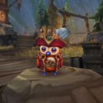 Pirate owl pet in World of Warcraft